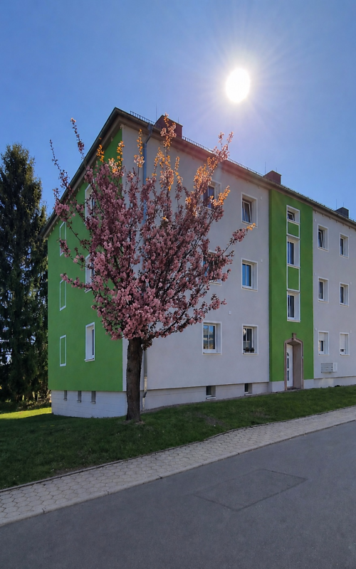 https://www.schleizer-wg.de/pic/19DDDAEF831.png